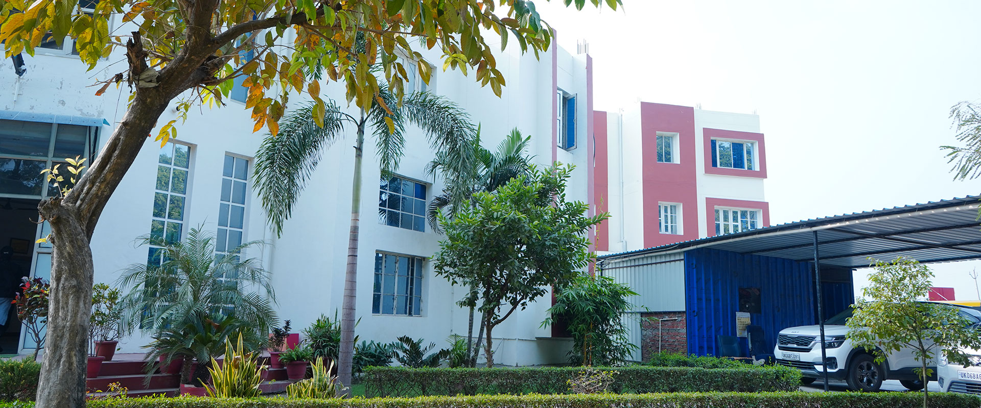 Divine School Working Culture